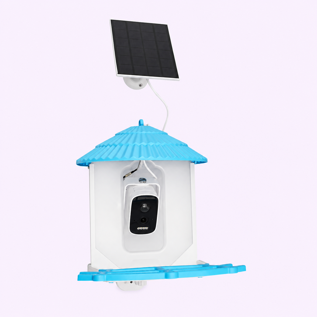 Outdoor & Garden