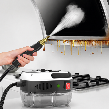 High-Pressure Steam Cleaner