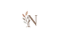Nolana™ - Inicio