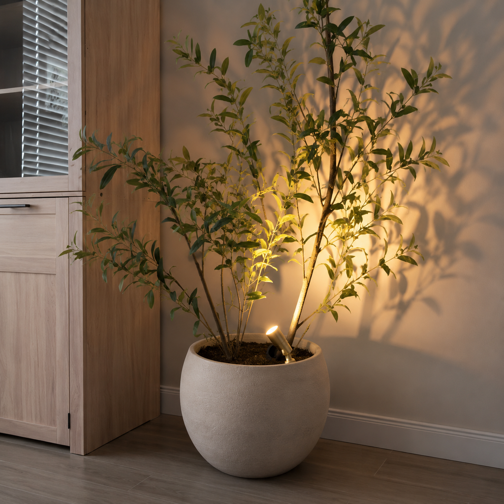 Glow-Focus Accent Lights