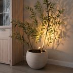 Glow-Focus Accent Lights
